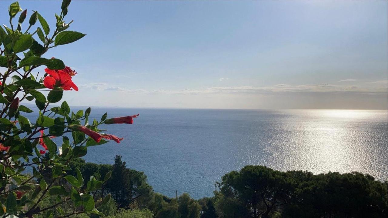 Appartamento Affaccio Sul Mare, Baia Di Copanello Eksteriør billede